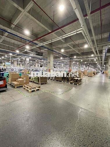 TUYỂN LĐPT CHÍNH THỨC