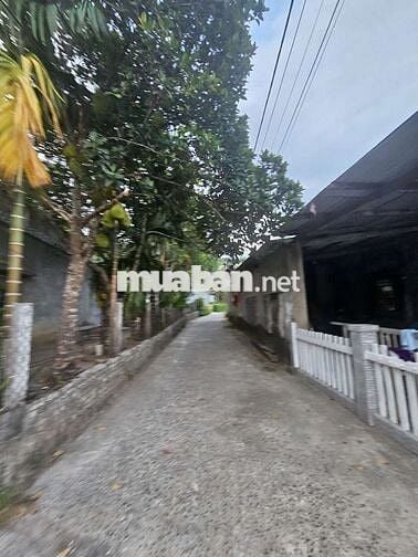 Cần bán lô đất nhà vườn thôn nam yên 530m2, góc ngã 3