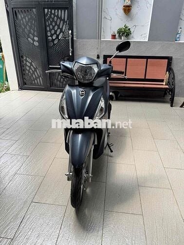 SYM Elegant 2025 Xám