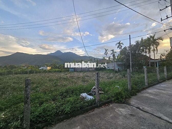 Cần bán lô đất nhà vườn thôn nam yên 530m2, góc ngã 3