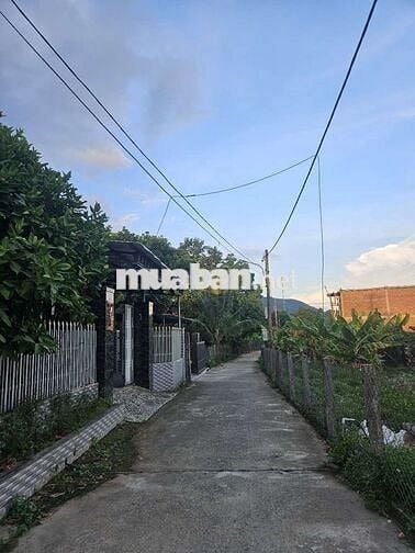Cần bán lô đất nhà vườn thôn nam yên 530m2, góc ngã 3