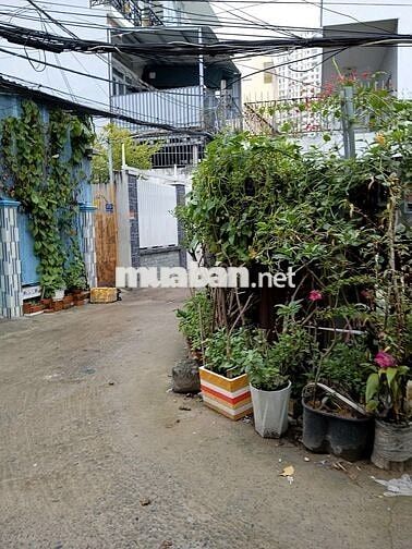 Đất hai mặt tiền, HXH. Đường Phạm Hữu Lầu Q7, DT 118m2. Giá 8.X tỷ