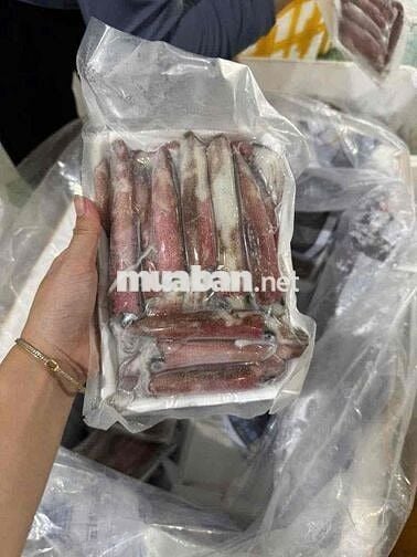 LÁI XE 500 KG KIÊM XE MÁY