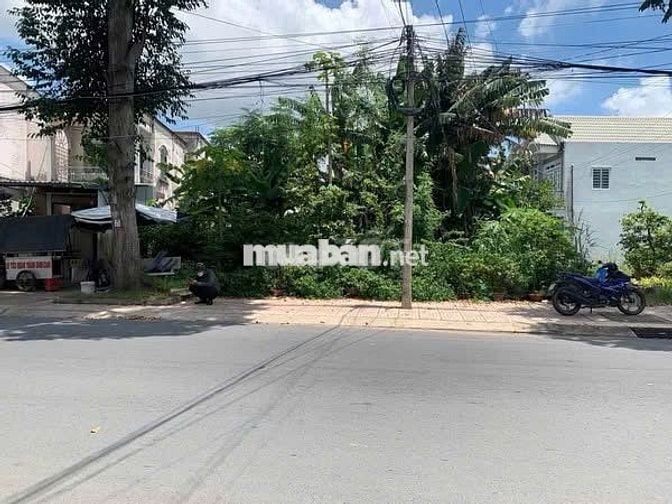 Chính chủ bán đất gần KCN Lê Minh Xuân,Bình Chánh giá 1 tỷ 250tr/100m2