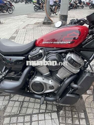 Harley-Davidson Nightster RH975 2022 Đỏ