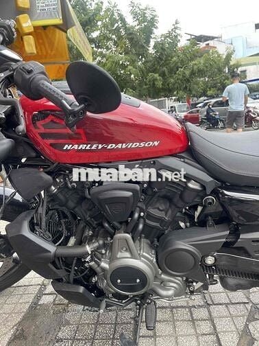 Harley-Davidson Nightster RH975 2022 Đỏ