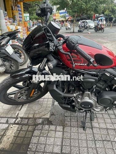 Harley-Davidson Nightster RH975 2022 Đỏ