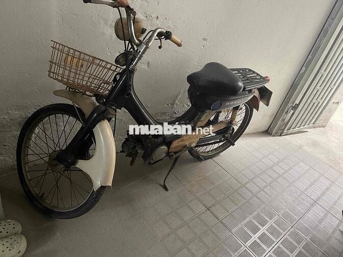 xe honda pc50