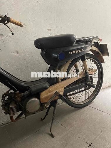 xe honda pc50