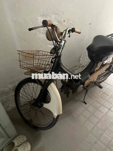 xe honda pc50