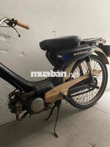 xe honda pc50