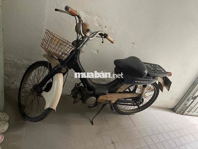 xe honda pc50