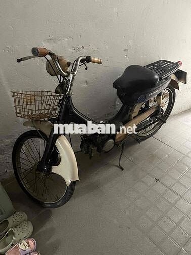 xe honda pc50