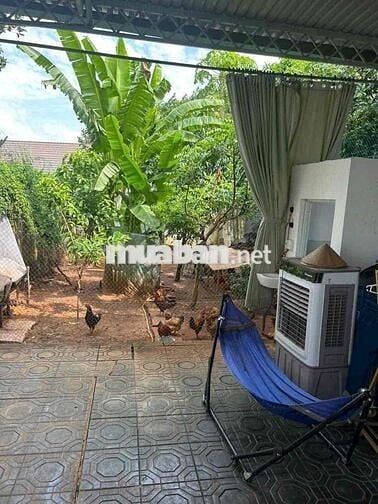 Nhà Bán gấp Tương Bình Hiệp mặt tiền Dx146 gần Chợ Bến Thế 7x59 thổ80m