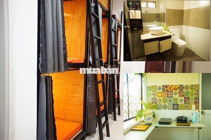 Đại học Khoa học Tự nhiên Nguyễn Văn Cừ Phòng ghép Sinh viên Văn phòng
