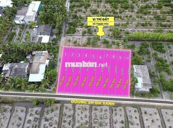 BÁN 10 NỀN THỔ 5x39(195M2). ẤP 5 THẠNH HOÀ. ĐẤT CÁCH NHỰA 100MÉT