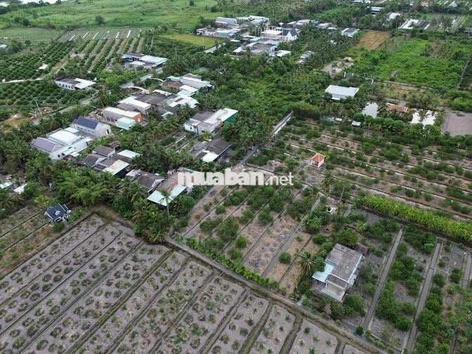 BÁN 10 NỀN THỔ 5x39(195M2). ẤP 5 THẠNH HOÀ. ĐẤT CÁCH NHỰA 100MÉT