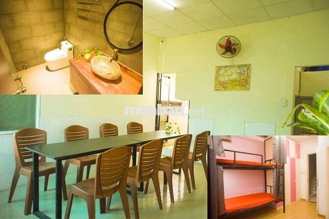 Hồng Bàng Trọ ghép chung cư Đại học Y Dược HCM UMP Sinh viên Văn phòng