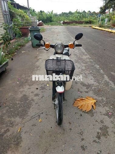 Honda Super Cub 81 50cc Trắng, Đen