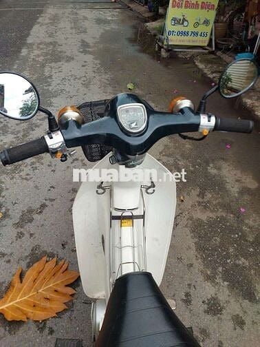 Honda Super Cub 81 50cc Trắng, Đen