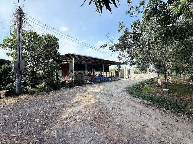 90m2 thổ cư gần KCN Hiệp Thạnh. Đường xe hơi. 239tr 