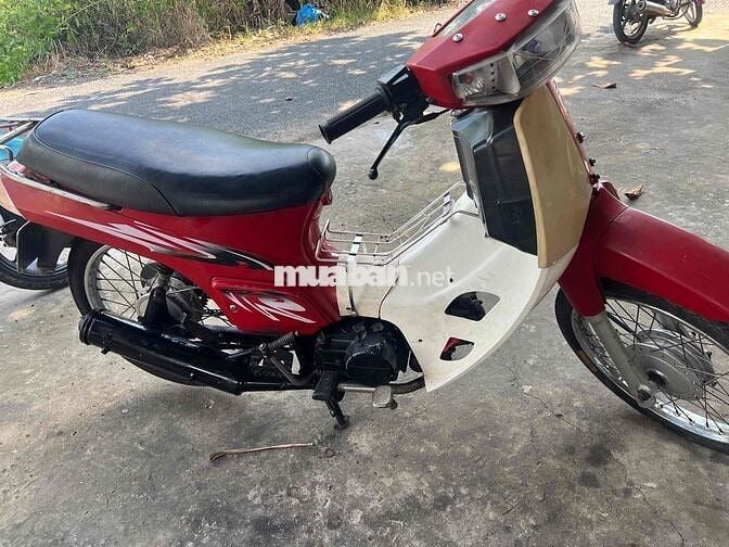 maxt 50