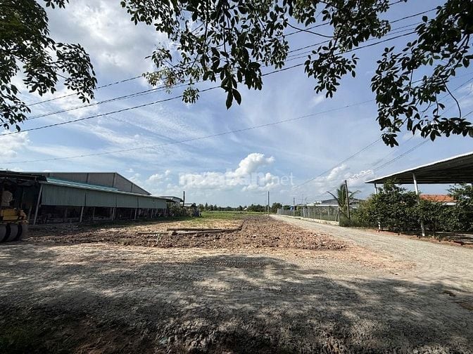 90m2 thổ cư gần KCN Hiệp Thạnh. Đường xe hơi. 239tr 
