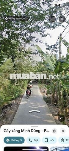 BÁN ĐẤT VƯỜN LONG ĐỊNH-TIỀN GIANG
