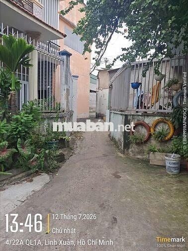Bán đất hẻm có nhà nát 169.5m2 giá TL Quốc Lộ 1A, Linh Trung, Thủ Đức