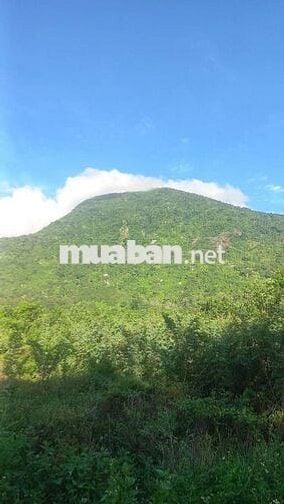đất phước ninh mặt tiền đường đá đỏ 55tr/m