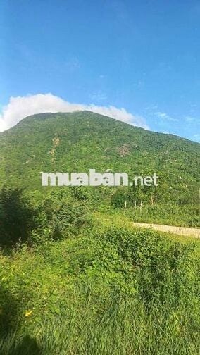 đất phước ninh mặt tiền đường đá đỏ 55tr/m
