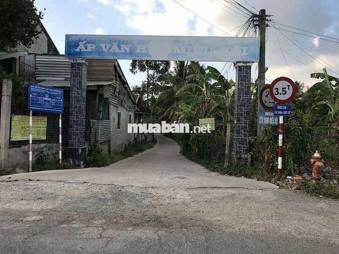 Bán  đất giáp Thành Phố Mỹ Tho Tỉnh Tiền Giang ( chính chủ )