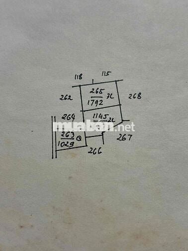 BÁN ĐẤT VƯỜN LONG ĐỊNH-TIỀN GIANG