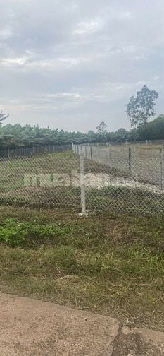 Bán đất mặt tiền gần sông ray 1.630m2 