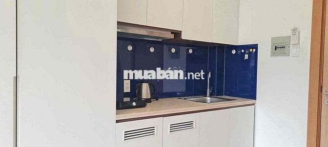 Cho thuê căn hộ trung tâm Quận 1 Trần Đình Xu gần ĐH Mở TP.HCM