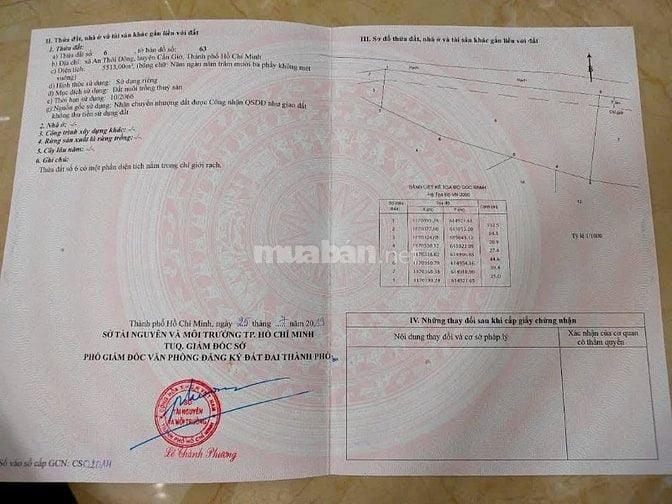 Bán đất gần trung tâm xã An Thới Đông Huyện Cần Giờ TPHCM 