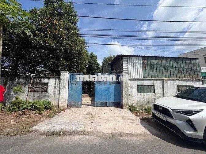 LÔ GÓC 2 MT-TẶNG NHÀ-NHÁNH TL 8 -BÌNH MỸ CỦ CHI – 287.5M² -GIÁ 4.79 TỶ