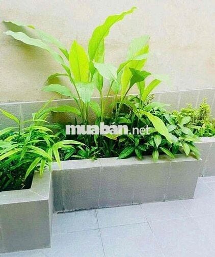 Phòng Mới Ngay Vòng Xoay Chợ Thủ Đức-Mặt Tiền 980 Kha Vạn Cân