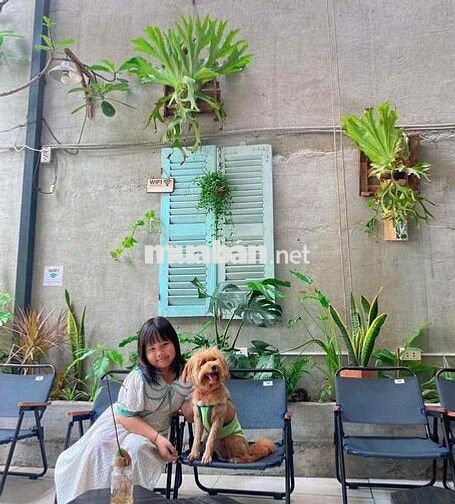 cho thuê mặt bằng 11tr sầm uất cà phê nail spa không gian thoáng