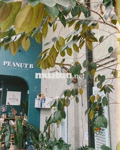 cho thuê mặt bằng 11tr sầm uất cà phê nail spa không gian thoáng