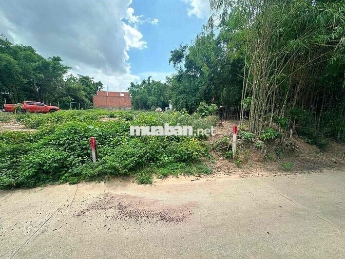 Lô đất 120m² Chánh Hiệp • Sổ riêng • Thổ cư sẵn • 160 triệu