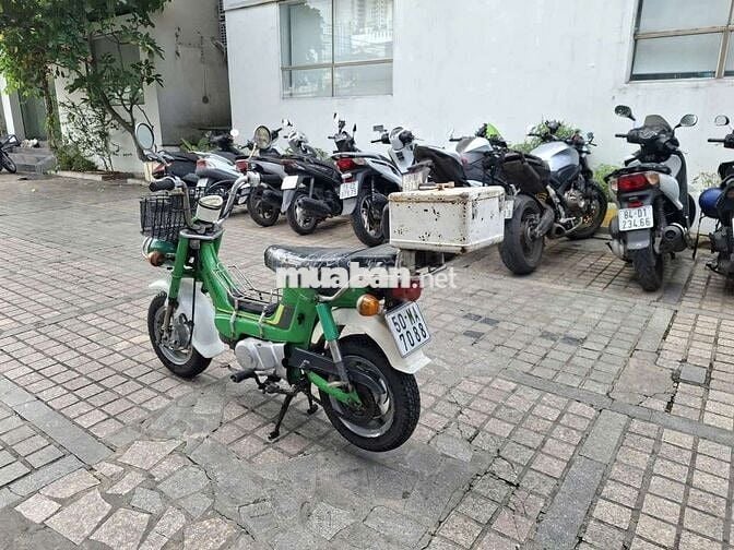 Honda Chaly 