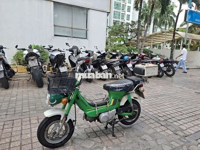 Honda Chaly 