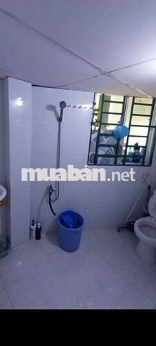 CHO NAM Ở GHÉP PHƯỜNG PHÚ THẠNH