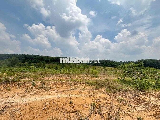 480 triệu sở hữu 857m² ngay Thị trấn Dầu Tiếng – Sổ riêng, mặt tiền