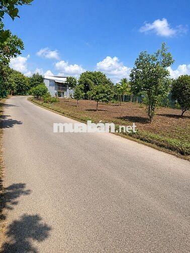 500m2 có 100m thổ cư sổ riêng phường Bình Lộc chỉ 850tr