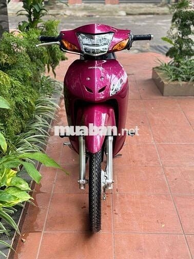 Honda Wave Hồng