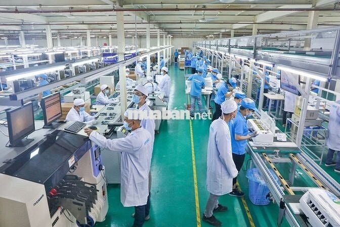 NHÂN VIÊN SẢN XUẤT - THƯỞNG 2TR - LÚA TUẦN