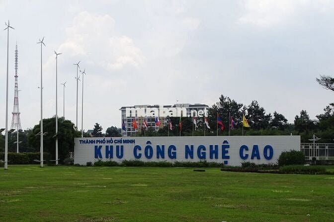 NHÂN VIÊN SẢN XUẤT - THƯỞNG 2TR - LÚA TUẦN