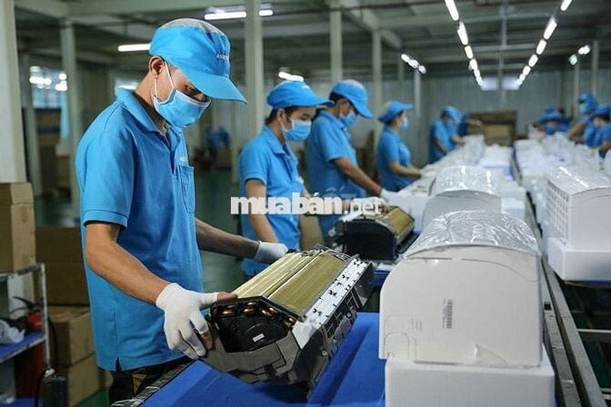 NHÂN VIÊN SẢN XUẤT - THƯỞNG 2TR - LÚA TUẦN